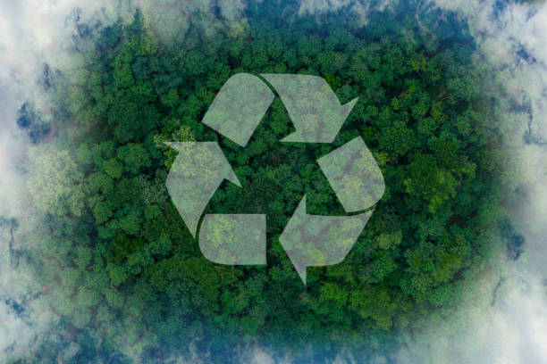 istock Recycle symbol on the forest background . Ecological concept. Ecology. Recycle and Zero waste symbol in the untouched jungle for Sustainable environment 2169604095