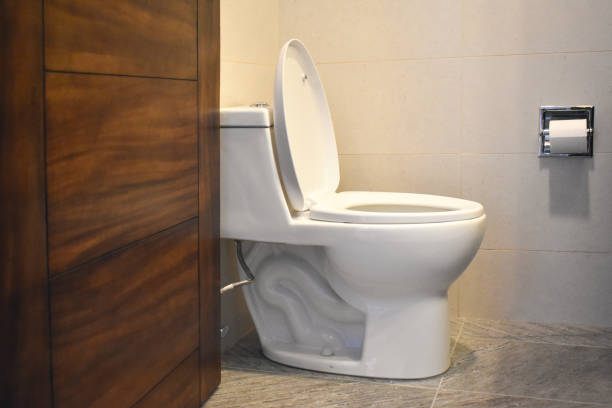 istock Toilet with lid in home bathroom 2169619806