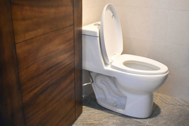 Toilet with lid in home bathroom