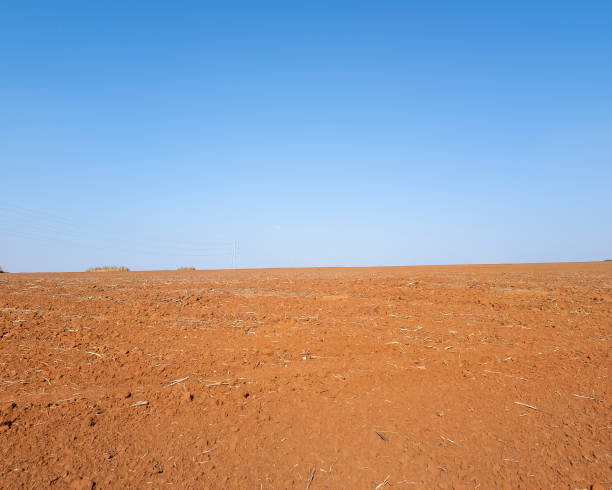 Photo of land prepared for planting