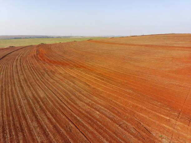 istock Land prepared for planting 2169620918
