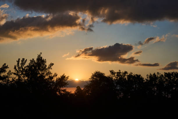 istock Beautiful sunset over the forest trees, aerial view 2169621231