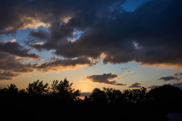 istock Beautiful sunset over the forest trees, aerial view 2169621237