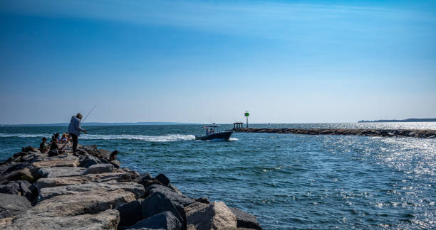 Views of the very busy Falmouth Harbor in Falmouth, MA on Cape Cod showing boats entering and leaving the harbor through the man made jetty.  This is a popular spot to watch the boats and to fish along the rocks of the jetty.  Boats of all sizes and types can be spotted throughout the day coming and going.