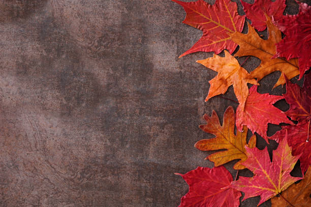 istock Colorful autumn leaves side border over a dark stone background. Top down view with copy space. 2169623989