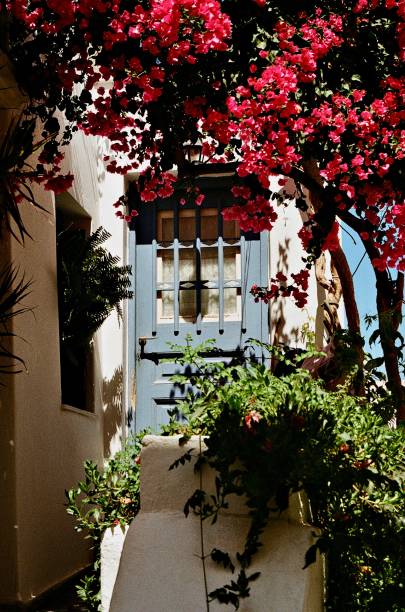 istock Door in Syros, Greece. 2169624359
