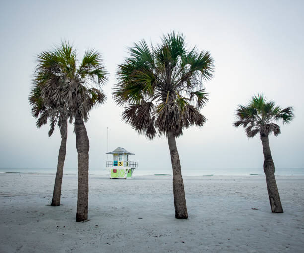Lifeguard tower, art deco design, Clearwater Beach, Florida, among 4 small palm trees, early October morning, Gulf of Mexico in the background, pastel looking colors.