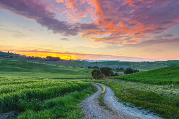 istock Dirt road in Tuscany at sunset 2169627621
