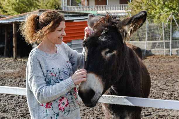 istock Woman petting a beautiful donkey 2169630755