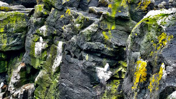 istock Travel photos from Iceland, typical views 2169638123