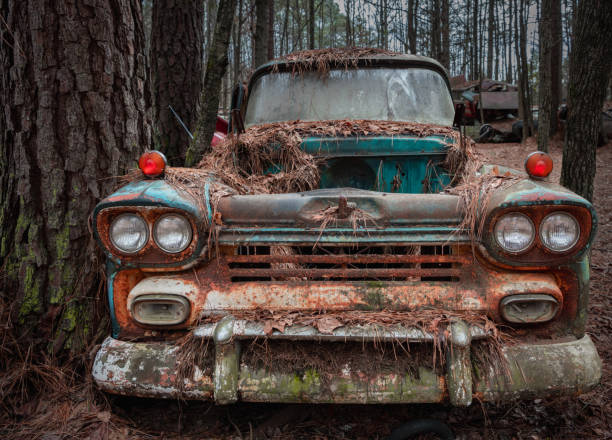 A decaying and rusty aqua truck covered in pine needles set among trees in forest.