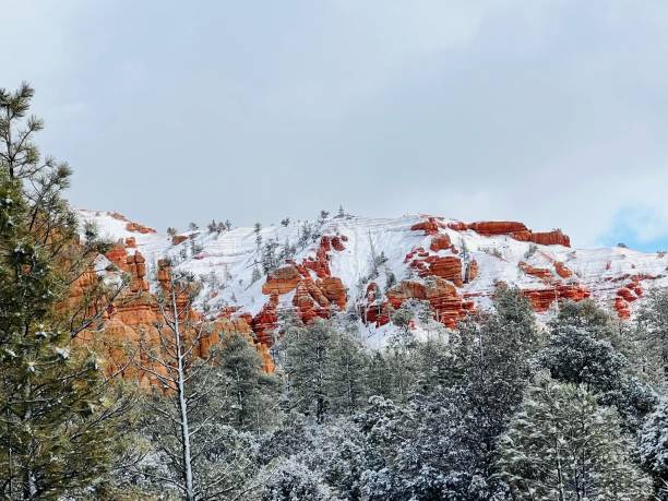 istock Bryce Canyon National Park 2169650648