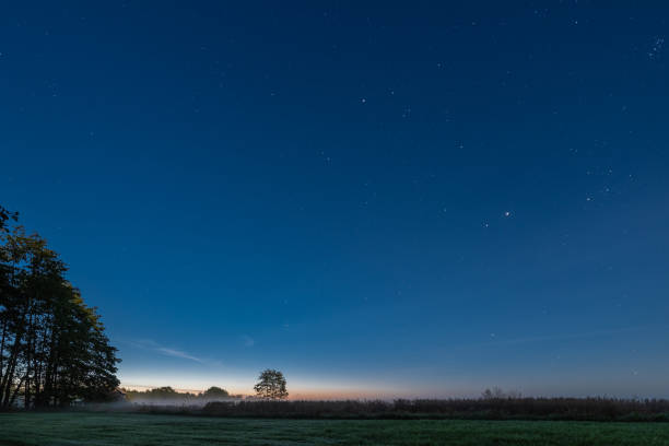 Agricultural field under starry sky before sunrise at summer
