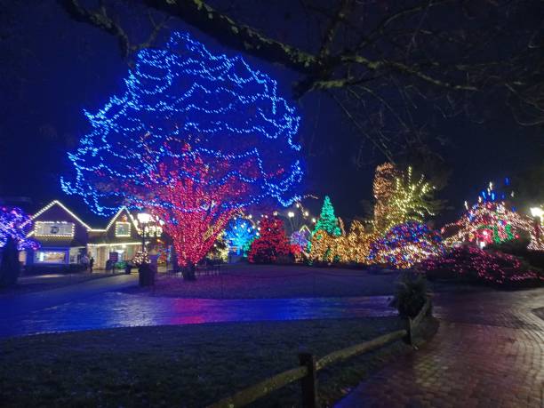 istock Christmas Village At Night 2169651123