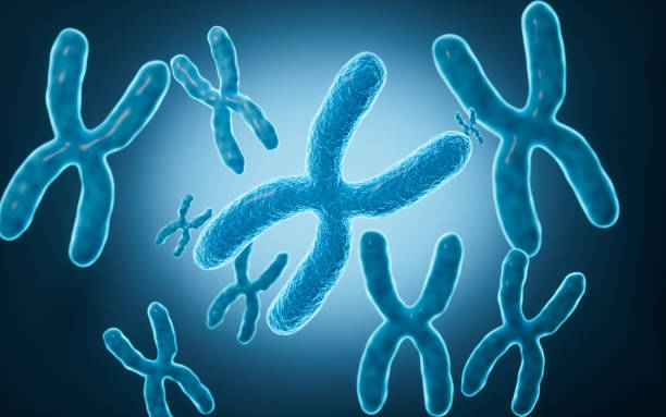 istock Human genes and chromosomes, 3d rendering. 2169660396