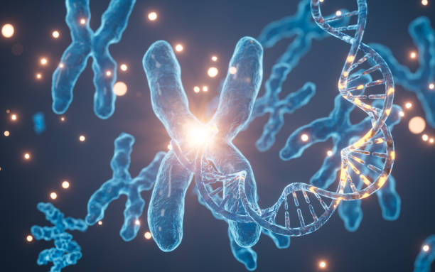 istock Human genes and chromosomes, 3d rendering. 2169660544