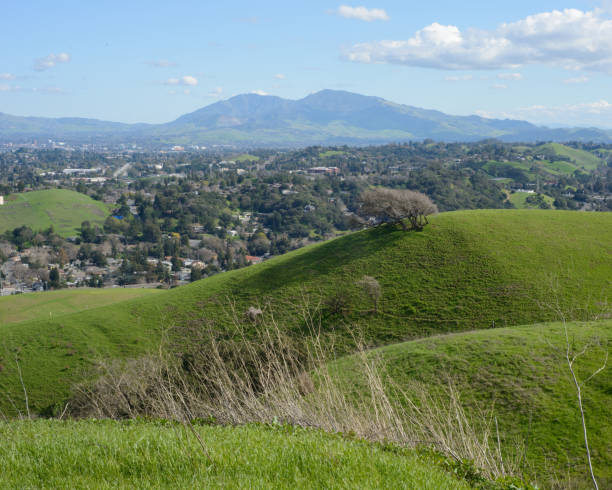 istock Green Hills In Martinez California 2169660958