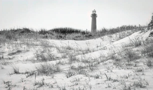 istock Tower at Island Beach State Park 2169663359