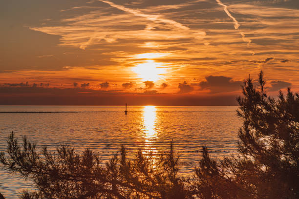 istock Sunset on the coast under pine trees 2169663757