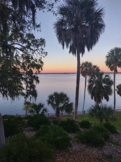 istock Phillip Park Tampa 2169664134