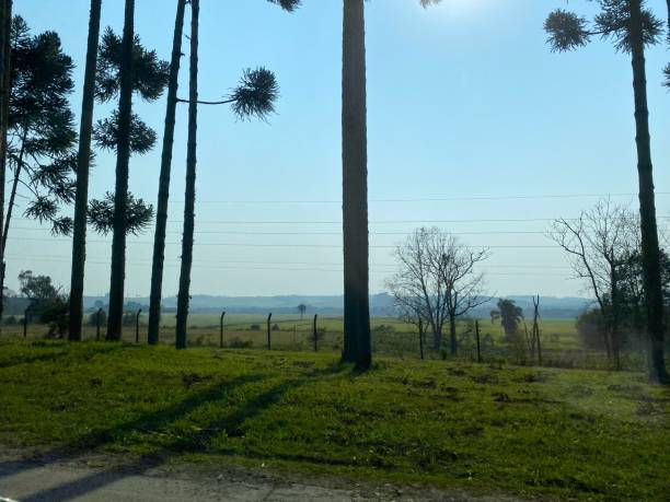 Santa Catarina landscape