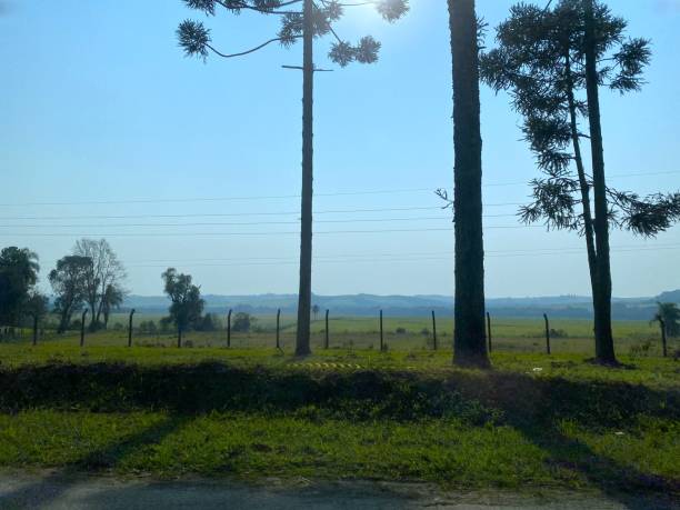 istock Santa Catarina landscape 2169664194