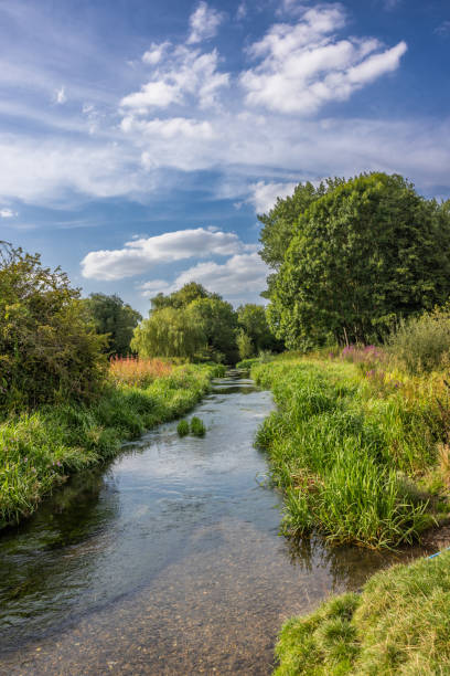 istock Waterford Heath and woodlands 2169671117