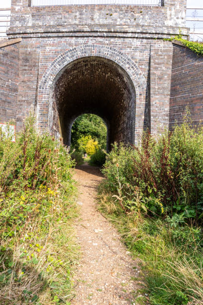 istock Waterford Heath and woodlands 2169671433
