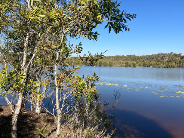 Tingalpa Reservoir Burbank QLD Australia