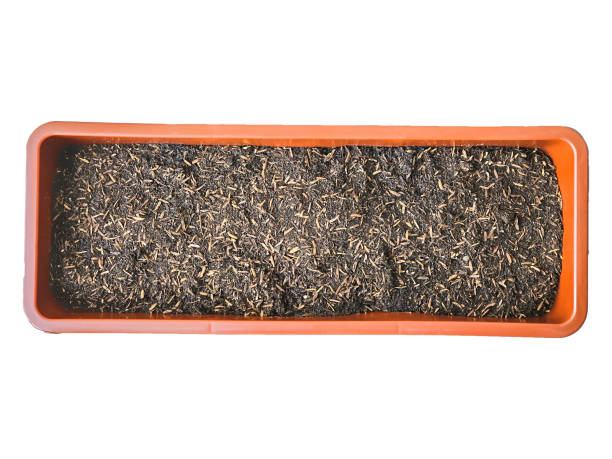 istock Organic fertilizer is put in a rectangular pot for growing vegetables. isolated on white background with clipping path 2169674671