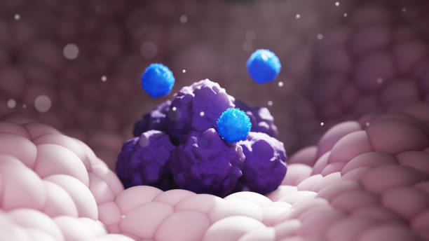 istock T-Cells Attacking Tumor Cells - 3D Immunotherapy Illustration 2169676149