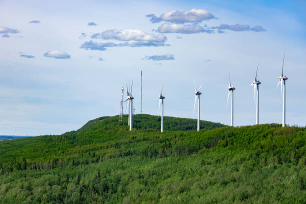 istock Windmills making green energy in the forest on the mountain. 2169678303