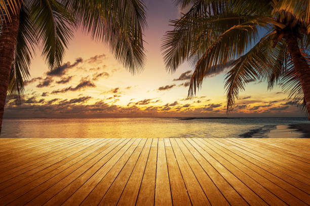 istock Empty wooden platform beside tropical sea shore during the sunset 2169680830