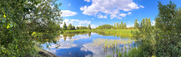 istock Lake in mixed forest in summer. Nature 2169682963