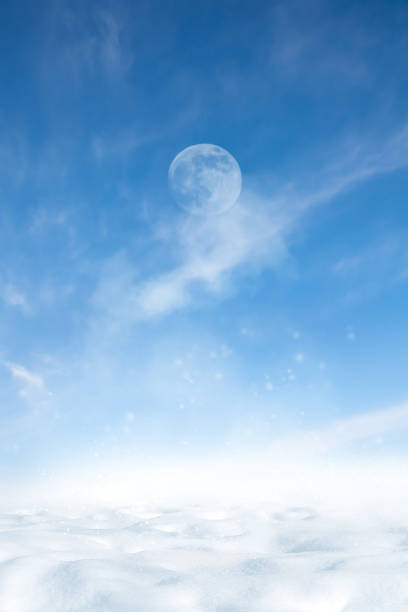 Winter forest at star night with moon with trees in a snow after snowfall. Russia