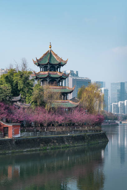 istock Wangjiang Tower scenery in Chengdu, Sichuan, China 2169684164