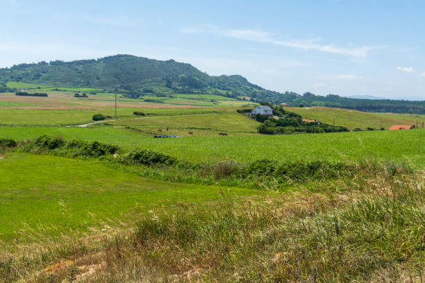 Green landscape in Somocuevas Liencres Cantabria Spain summer time