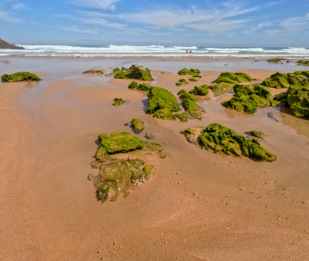 istock Canallave beach in Pielagos Cantabria Spain 2169685573