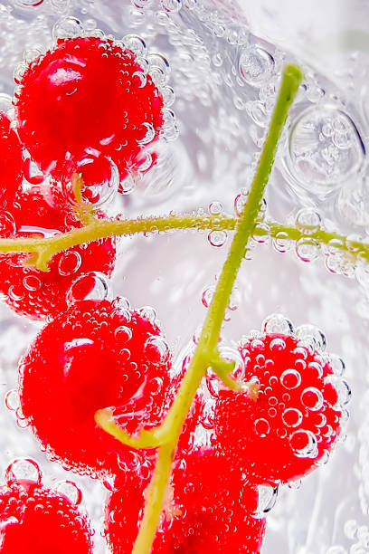 istock Branch of red currant in water droplets on a white background. 2169686467