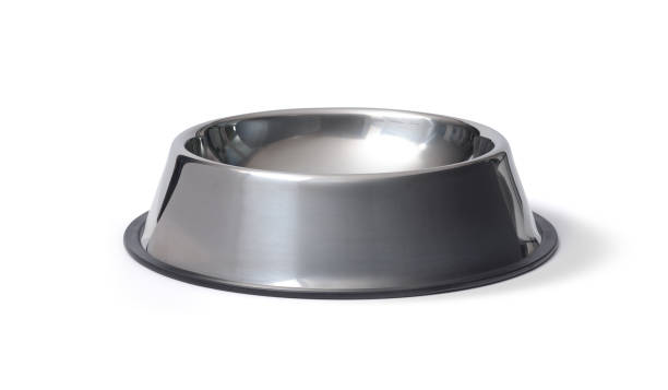 istock Stainless steel dog empty bowl isolated on white background 2169687427