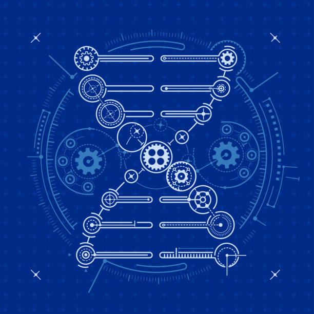 Bioengineer Designs 230+ Bioengineer Stock Photos, Pictures & Royalty-Free Images - iStock