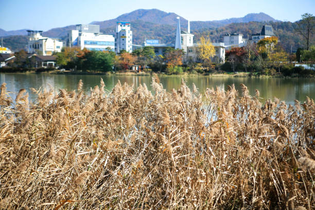 landscape in autumn