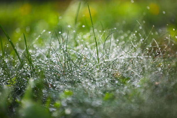 istock Nature themed background image with copy space for presentation and text 2169690865