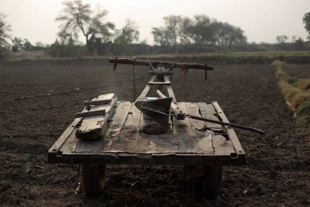 Bullock cart parked in agricultural field outdoor in nature.