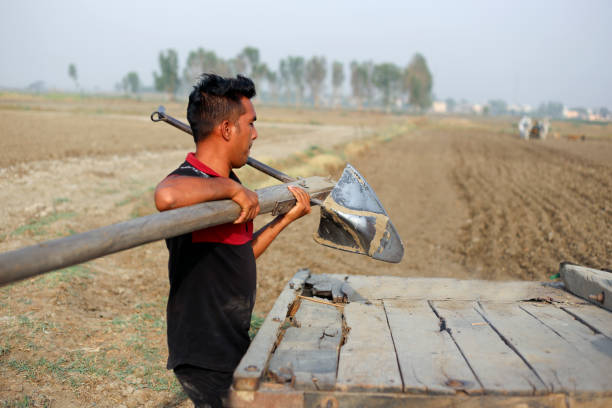 Rural farmer of Indian ethnicity carrying plough on his shoulder.
