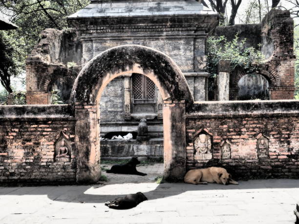Pashupatinath Temple in Kathmandu
