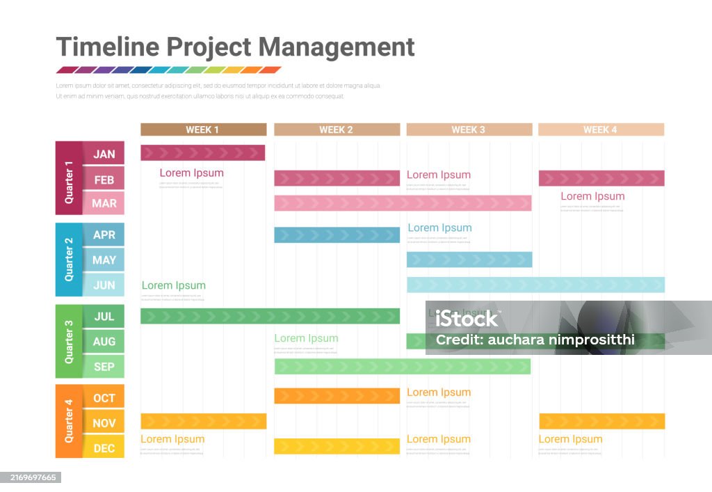 Timeline Graphique Project Schedule Year Chart Overview Planning Timeline Vector Diagram ...