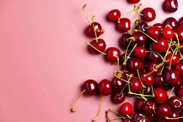 istock Sweet red cherries isolated with water drops. Black cherry, copy space 2169698727