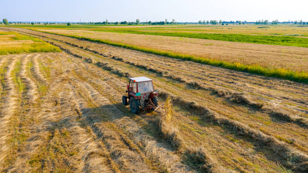 istock Farmer in tractor using a rotary rake to turn dry grass for hay 2169699837