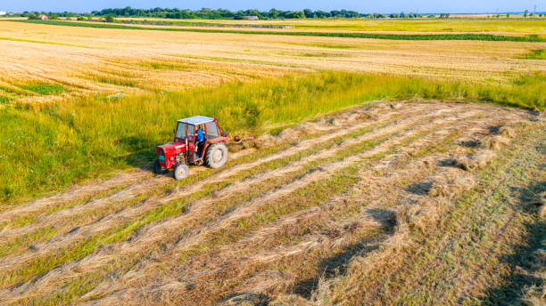 istock Farmer in tractor using a rotary rake to turn dry grass for hay 2169699842